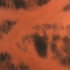 Obraz Milan Houser Bez názvu, 2004, stříkaná akrylátová perleť, deska MDF, 140 x 207 cm