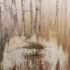 Obraz Petr Pastrňák bez názvu (Hořící lesy), 2011, akryl, plátno, 130 x 100 cm