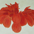Obraz Juliana Mrvová Bulbophyllum, 2005, akryl, plátno, 150 x 190 cm