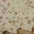 Obraz Petr Veselý Kapky na skle (Lavice v kostele, Zvole), 2007, olej, email, sololit, 90 x 122 cm