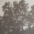 Obraz Pavel Hayek Krajina se stromy, 2006, akryl, plátno, 145 x 145 cm