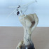 Obraz Benedikt Tolar Oheň, 2001, plastikový model, drát, hovězí kost s fixovou kresbou, 43 x 17 x 17 cm
