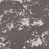 Obraz Pavel Hayek Průhled stromy, 2005, akryl, plátno, 60 x 60 cm