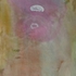 Obraz Jiří Kovanda Taková láska II, akvarel, ruční papír, 30 x 21 cm