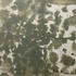 Obraz Petr Veselý Ze dvora listí, 2010-21, olej, email, včelí vosk, plátno, 135 x 170 cm